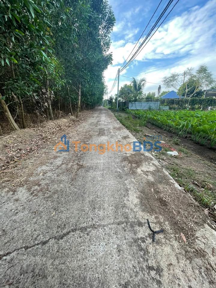 Đất mặt tiền 2160m² - 900 triệu tại Gia Kiệm, Đồng Nai - Sổ hồng riêng