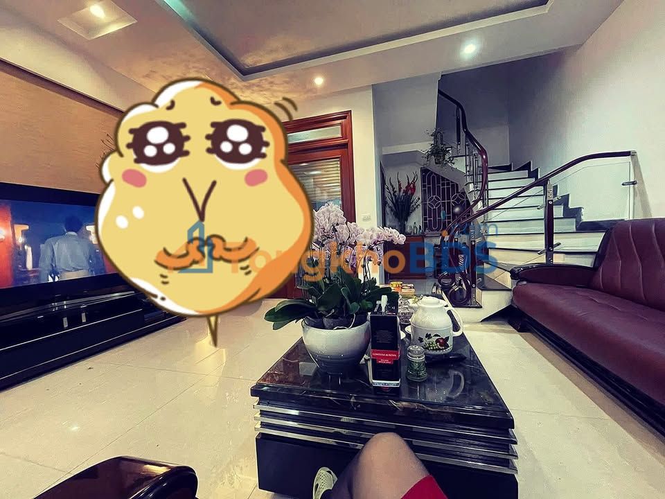 Nhà Phố Lạch Tray Hải Phòng 62m² 4 Tầng - Ô tô vào nhà, Full nội thất