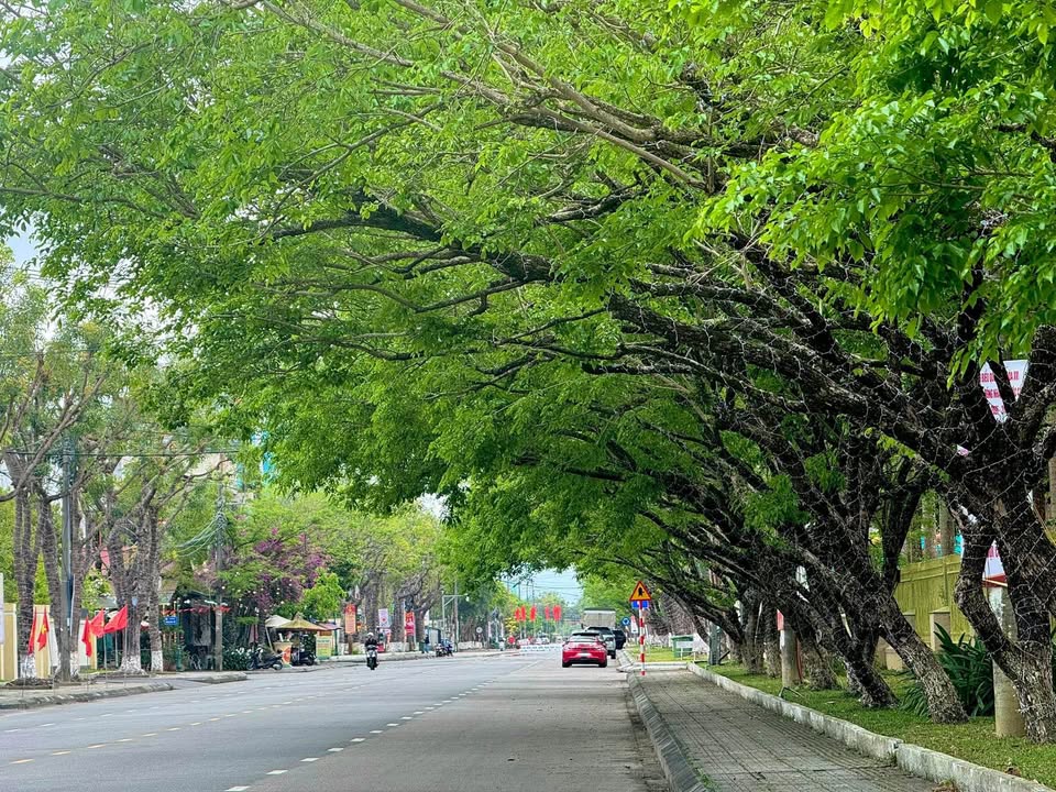 Đất Tái Định Cư Hồ Nghinh, Duy Xuyên 154m² - Giá 2.6 Tỷ, Sẵn Sổ Hồng