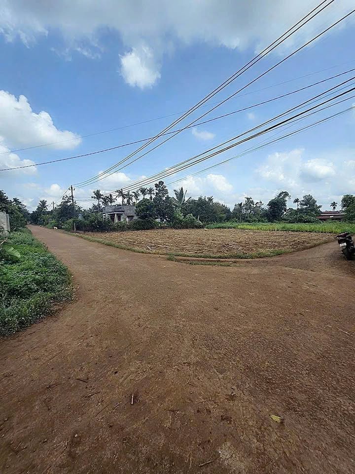 Đất nền Eakmat, Buôn Ma Thuột 125m² - Sổ đỏ riêng, giá đầu tư 645 triệu