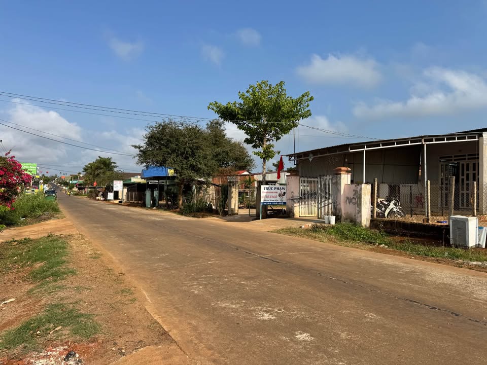 Đất Vàng Krông Năng - 120m² Thổ Cư Sẵn Sàng Xây Dựng Kinh Doanh