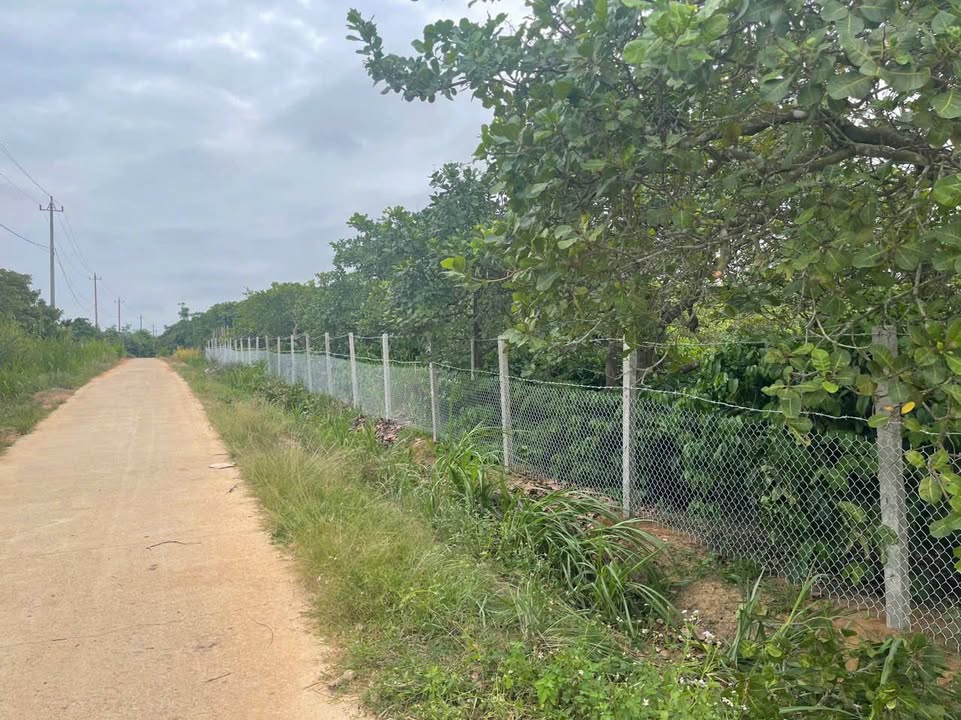 Farm 3.6ha Ea Kar - 23 Tỷ Kinh Doanh Cà Phê, Ca Cao, Điều