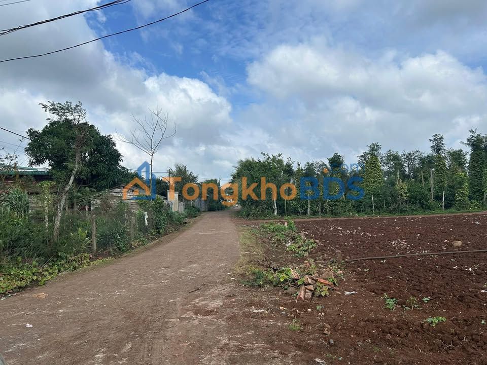 Đất Buôn Ma Thuột 720m² Sổ Đỏ - Giá Tốt 620 Triệu