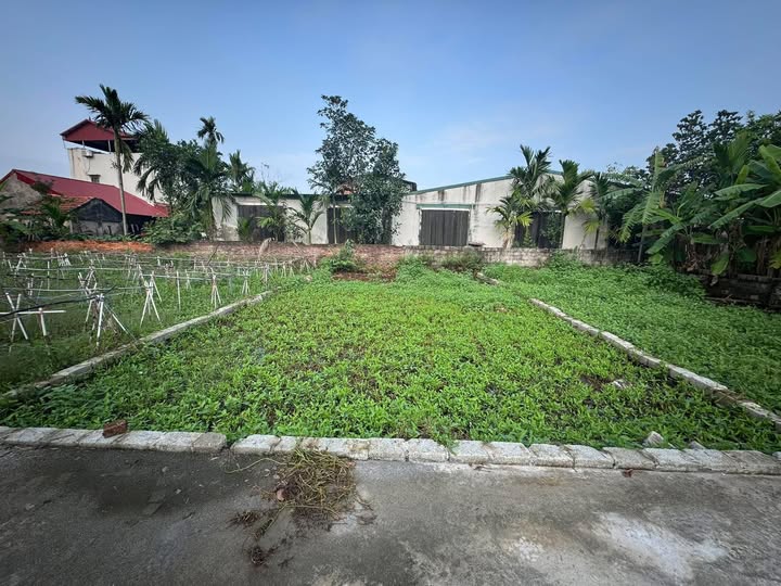 Đất Phú Xuyên 80m² Nở Hậu - Sổ Đỏ Chính Chủ, Giá 1.6 Tỷ