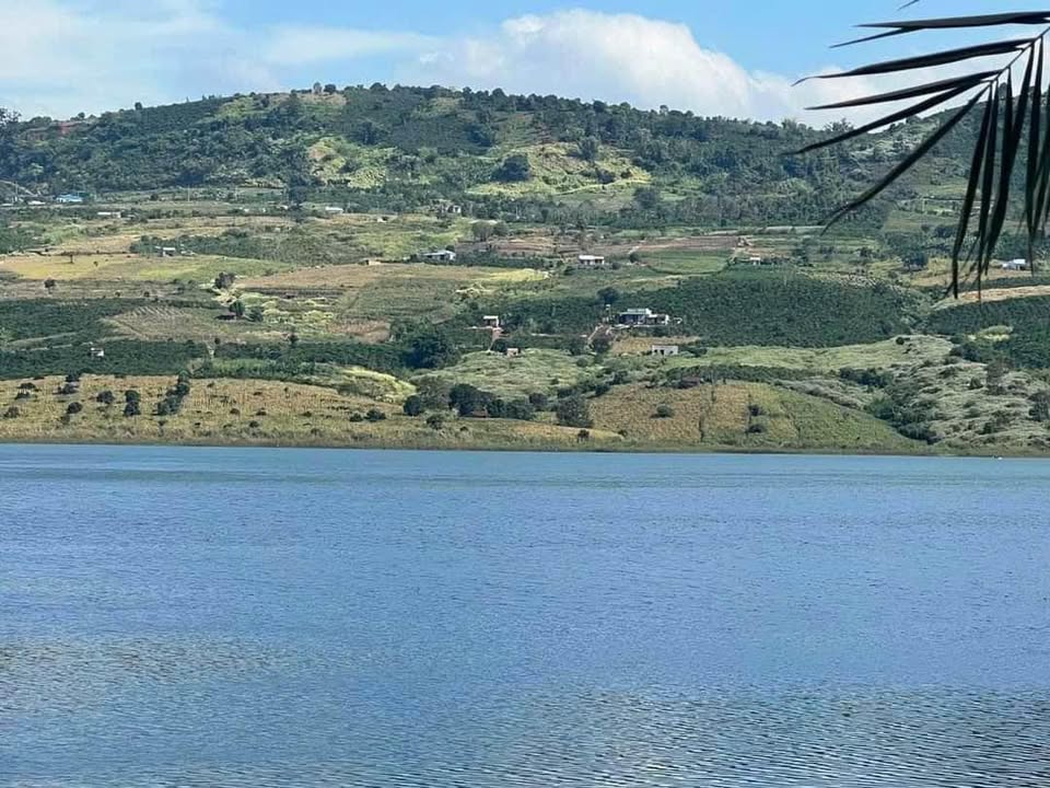 Nhà Gỗ View Sông 1000m² Thổ Cư - Cặp Đôi Lý Tưởng tại Lâm Hà, Lâm Đồng