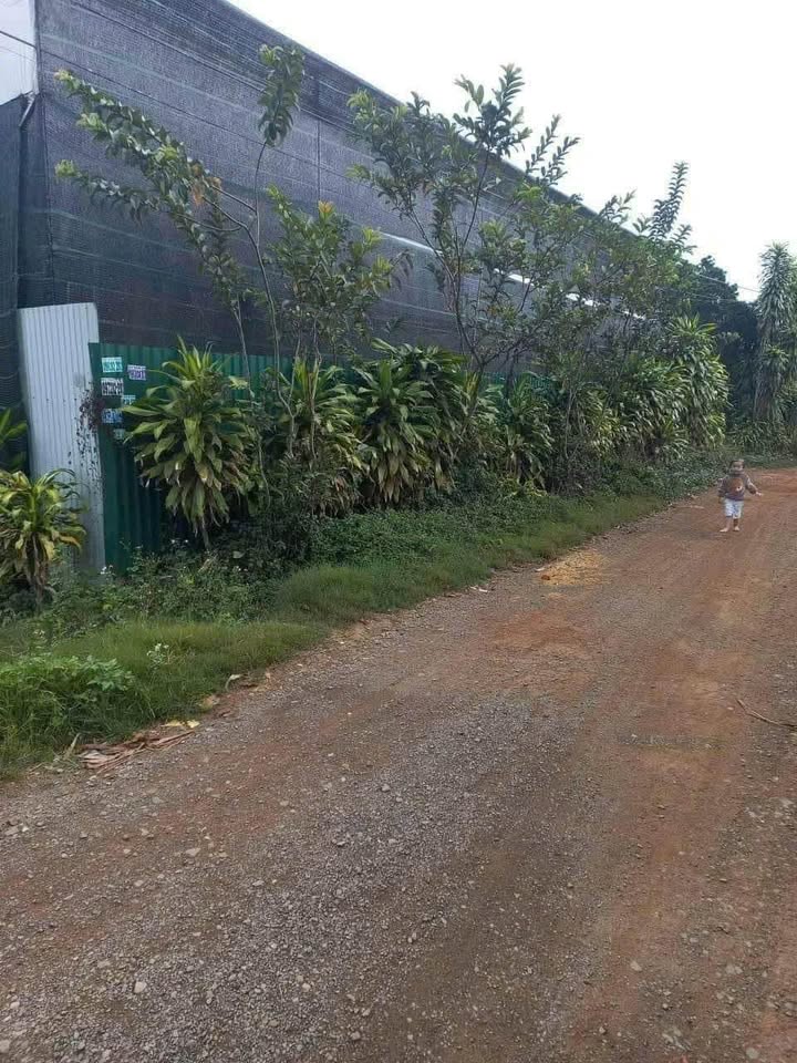 Bán Gấp Nhà Cấp 4 740m² Thổ Cư, Hẻm Phan Chu Chinh, Bảo Lộc - Giá 2.6 Tỷ