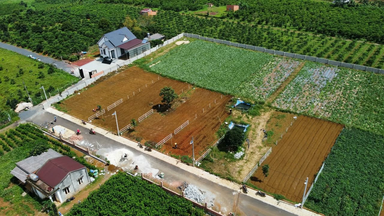 Bán Nhanh Đất Vàng Phùng Hưng, Dầu Tiếng - 610m² Thổ Cư, Đường 10m