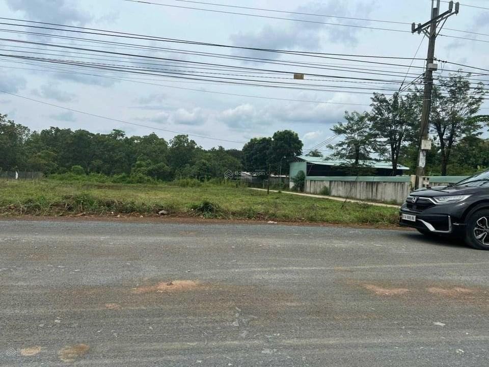 Đất nền Chơn Thành 200m² - Sổ sẵn, giá cắt lỗ 399 triệu