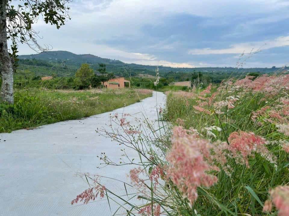 Đất Nền Lâm Hà 1000m² Giá 290 Triệu - Sổ Hồng Sẵn Sàng