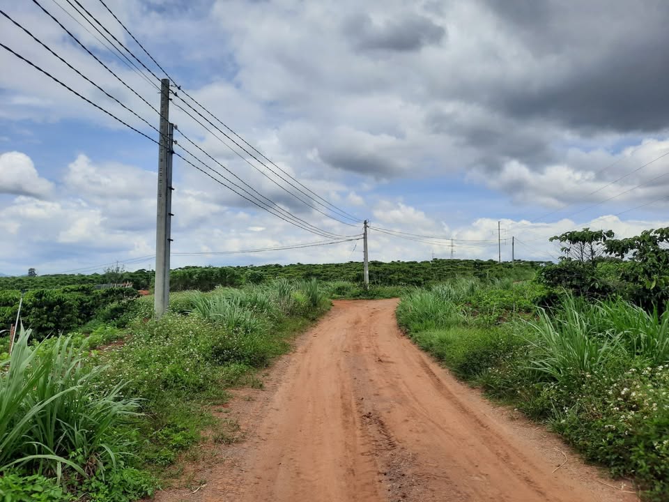 Đất Nền Đức Trọng 558m² (8x79m) - Sổ Hồng Sẵn 790 Triệu