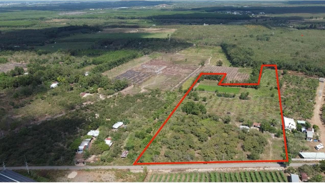 Đất Vàng Xuyên Mộc 33.000m² - Giá Ngộp 12.2 Tỷ - Tiềm Năng Phân Lô Cực Lớn