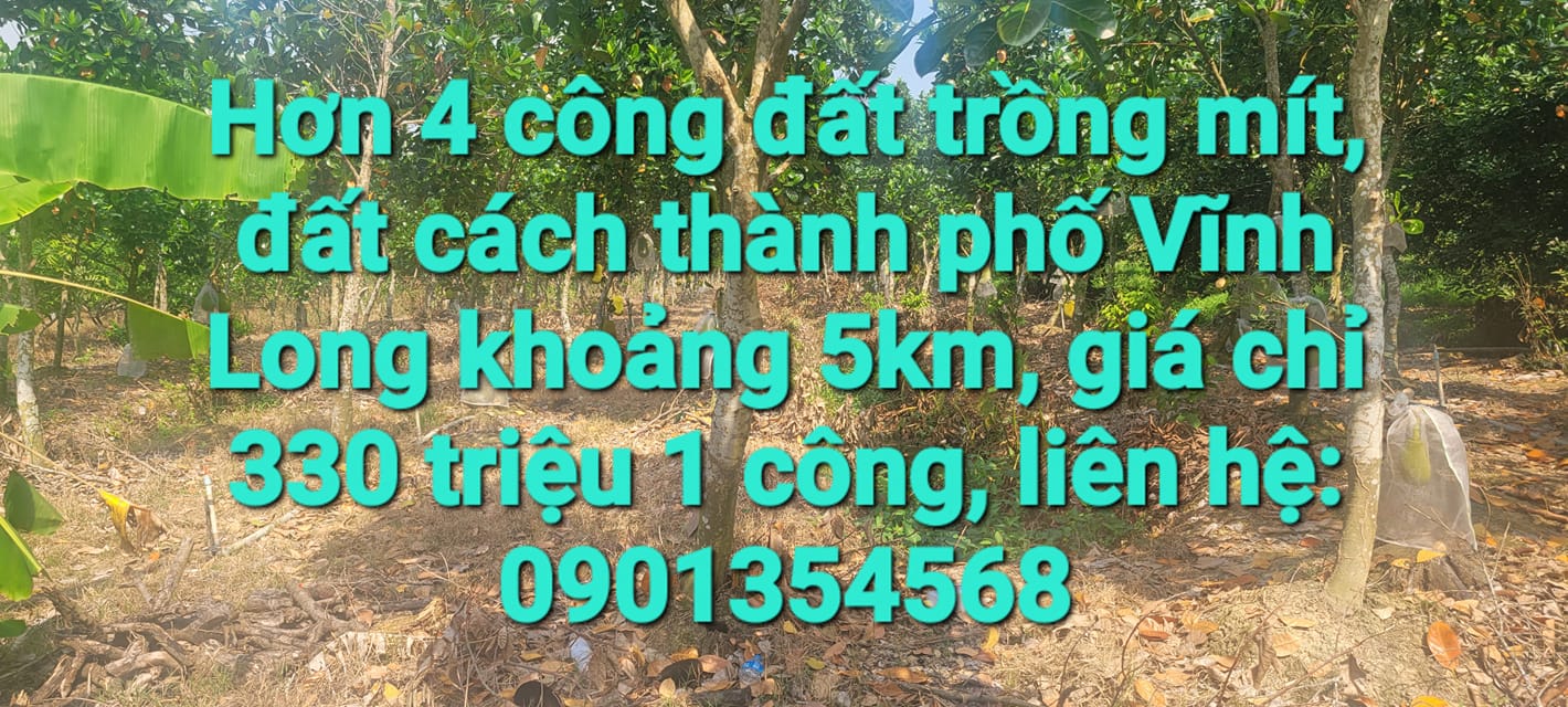 Đất Vườn 4000m² Vĩnh Long - Giá Đầu Tư 1.3 Tỷ, Cách TP 6km
