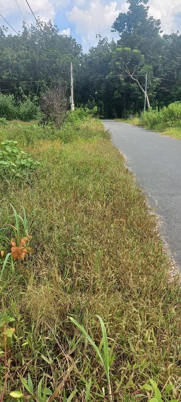 Bán Đất Thổ Cư 140m² Đường An Bình, Tây Ninh - Sẵn Sổ Hồng, Giá 400 Triệu