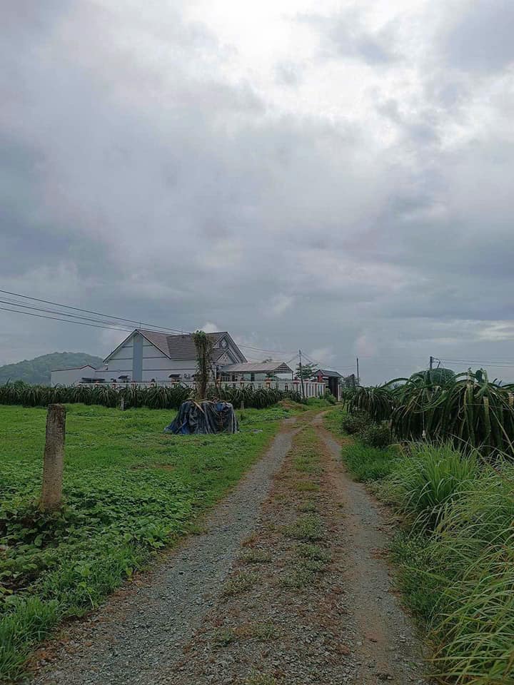 Bán Đất Vườn 3000m² Bình Thuận - View Núi Tà Cú, Hướng Biển, Giá 1 Tỷ