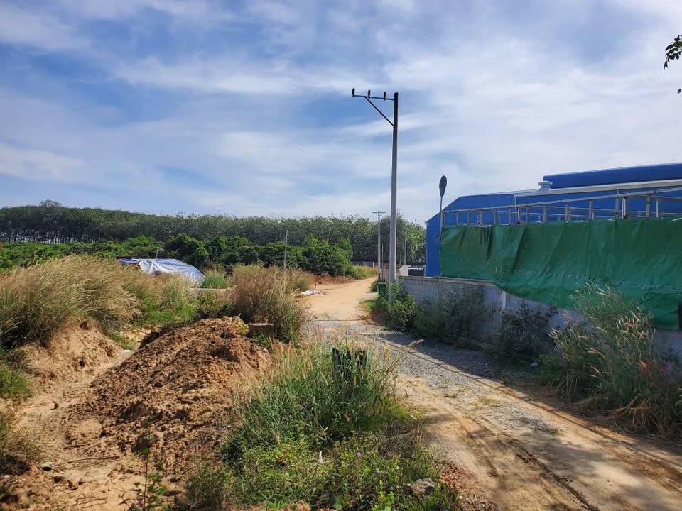 Bán Đất Kho Xưởng 4.257m² Tân Uyên - Giá 23.8 Tỷ - Kinh Doanh Vượt Trội