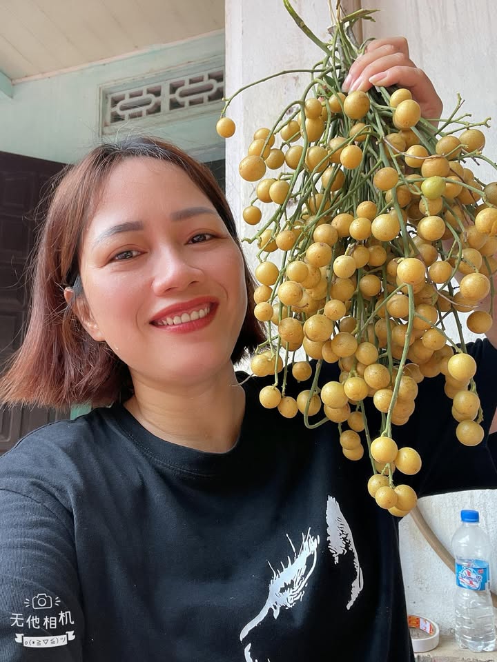 Đất nền Dĩ An 185m² mặt tiền kinh doanh - Sổ thổ cư, giá 4.2 tỷ