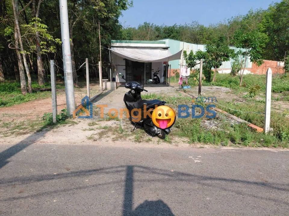 Bán Đất 160m² Sổ Hồng Riêng Tại Chánh Phú Hòa, Bến Cát - Giá 1.4 Tỷ