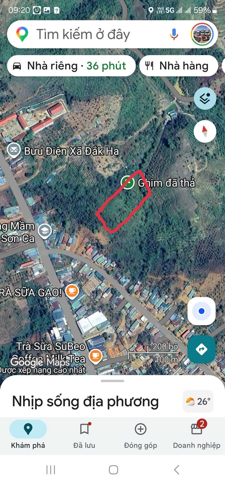 Đất Vườn Đắk Glong 10000m² - Sổ Đỏ Chính Chủ, Giá 870 Triệu