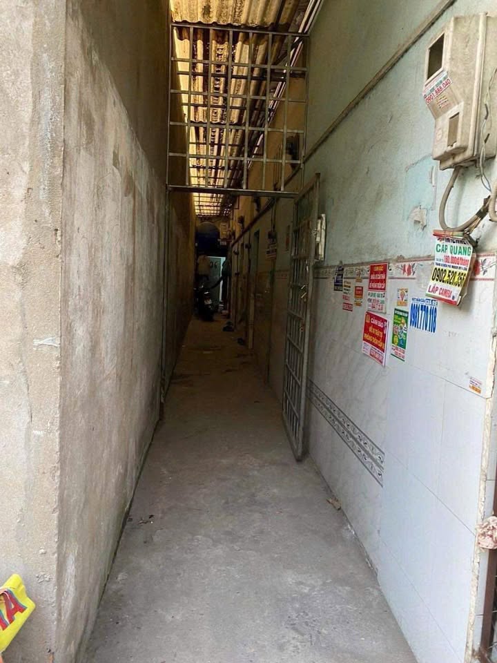 Bán gấp dãy trọ 125m² đường Thanh Niên, Bình Chánh - Thu nhập 8tr/tháng