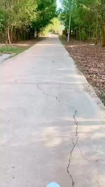 Đất Xuân Tâm, Đồng Nai - 1150m² Giá Tốt Chỉ 400 Triệu