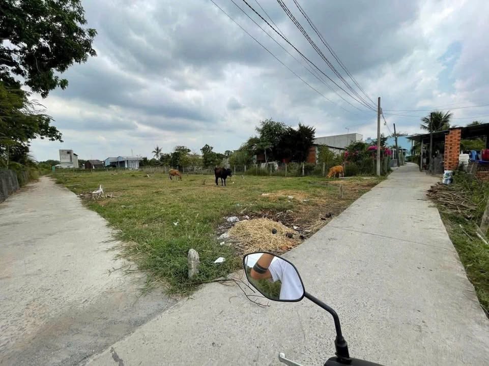 Đất Vườn 356m² Long An - 2 Mặt Tiền Thoáng, Gần Sông, Giá 999 Triệu