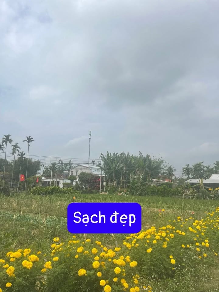 Đất Vườn Nghĩa Lộ - 100m² Sạch Đẹp, Giá Tốt Đầu Tư