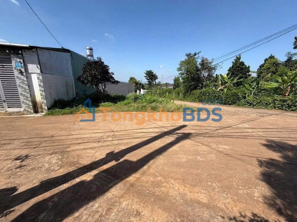 Đất Vàng Buôn Ma Thuột - Góc 2 Mặt Tiền Ymoan, 98m² Thổ Cư, Giá 1.9 Tỷ