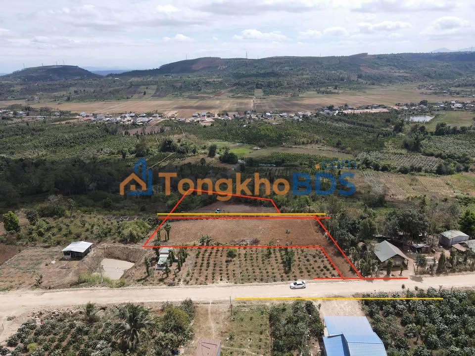 Đất Đắk Mil 4000m² Sổ Đỏ - 785 Triệu, Sẵn Sàng Trồng Cà Phê