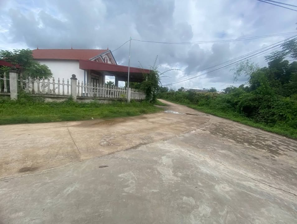 Bán Gấp Vườn 1400m² Đồng Vương, Yên Thế - Sổ Đỏ, View Đồng, Ô Tô Tránh