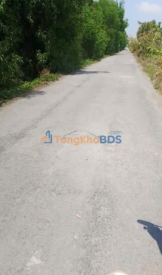 Đất nền Tân Hòa Thành 28 công 5.88 tỷ - Sổ đỏ chính chủ