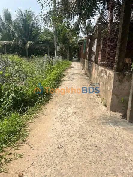 Bán Đất Nền Thổ Cư 516m² Đồng Tháp - Giá 260 Triệu Chính Chủ