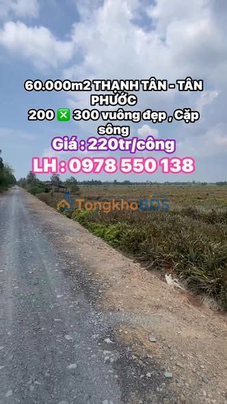 Đất Vườn 60.000m² Mặt Tiền Sông Đồng Tháp - Đầu Tư Sinh Lời