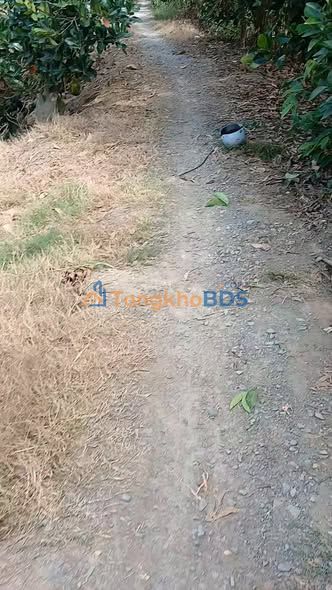 Đất Vườn Cái Bè 3000m² Sổ Đỏ Riêng - Mặt Tiền Kênh Giá 1.15 Tỷ