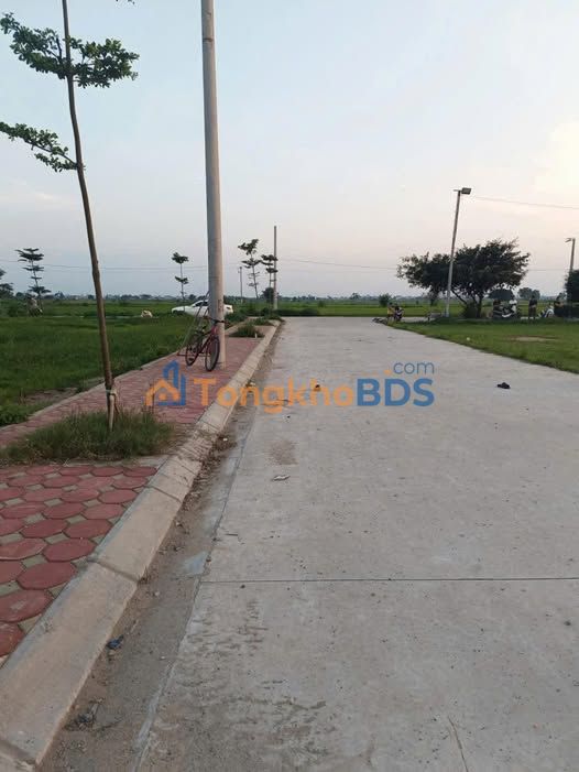 Đất Đấu Giá Thôn Trãi - Văn Tự, Thường Tín: 130.5m², Sẵn Sàng Xây Dựng, Gần KCN Vân Từ