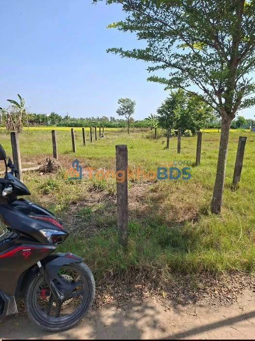 Đất nền Gò Công 205m² - Sổ hồng thổ cư, giá chỉ 380 triệu