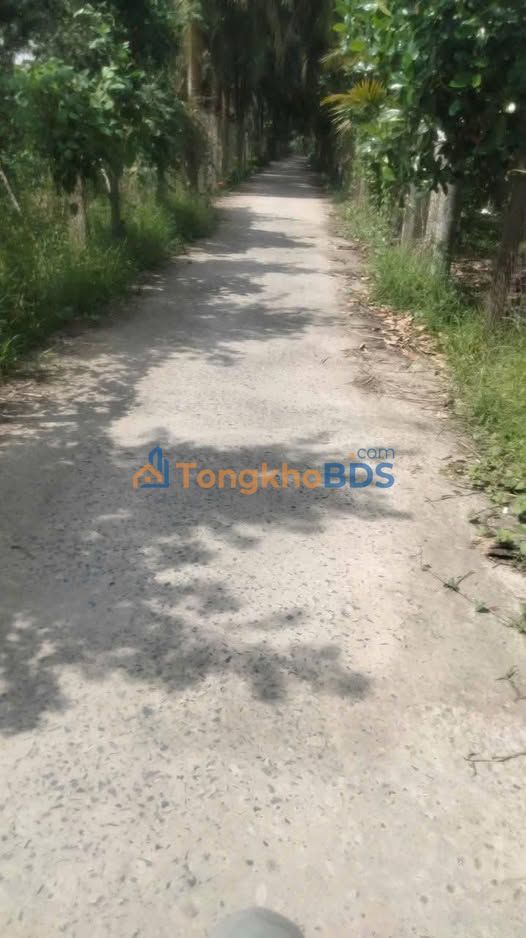 Đất Nền Long Khánh 125m² (Thổ Cư 50m²) - Giá Tốt 430 Triệu/Nền