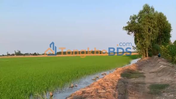 Bán đất vườn 8280m² Cái Bè, Tiền Giang - Sổ đỏ chính chủ, giá 500 triệu