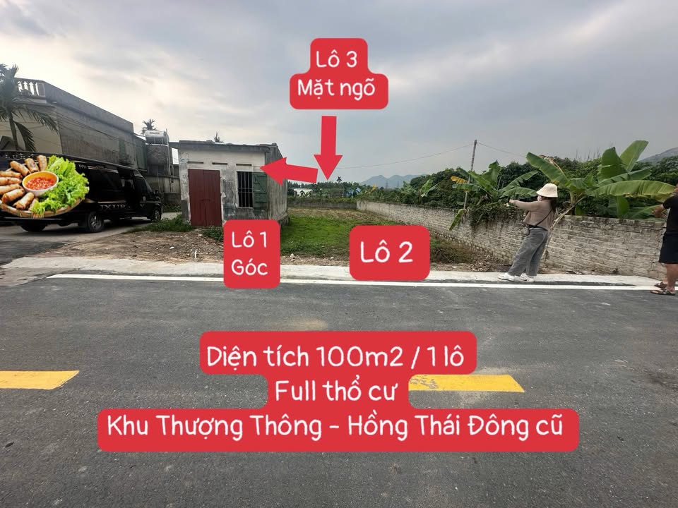 Đất Nền Thượng Thông, Đông Triều 100m² - Sổ Đỏ Full Thổ Cư, Giá Chỉ Từ 6xx Triệu