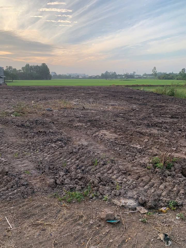 Đất Nền 1000m² Mặt Tiền An Châu, An Giang - Giá 3.9 Tỷ