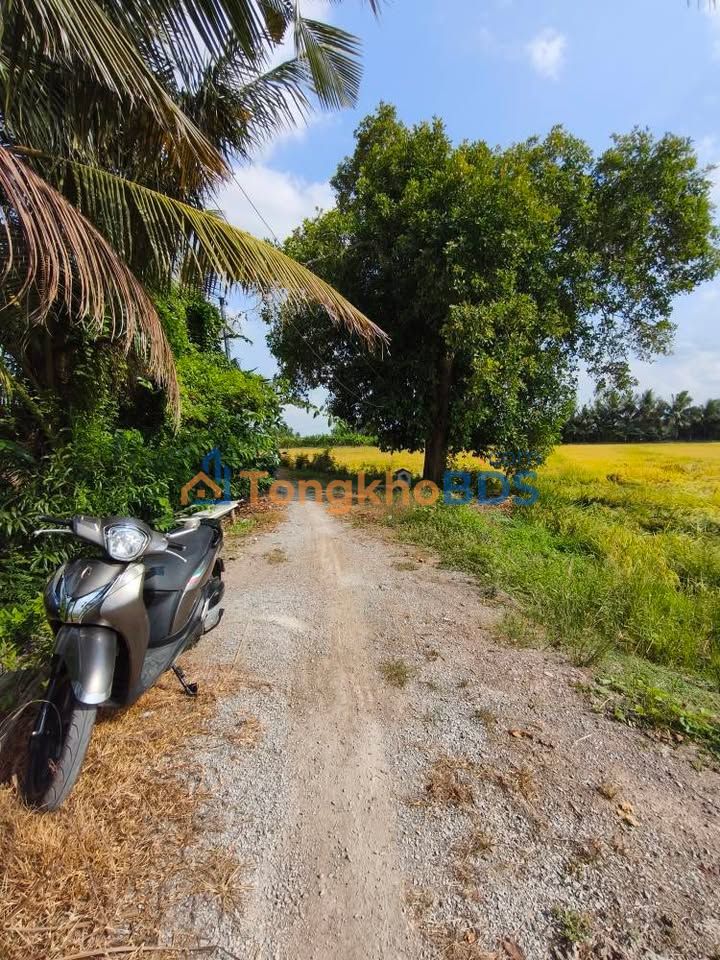 Bán Đất Vườn An Giang 16.508m² - Đầu tư sinh lời ngay tại Châu Thành