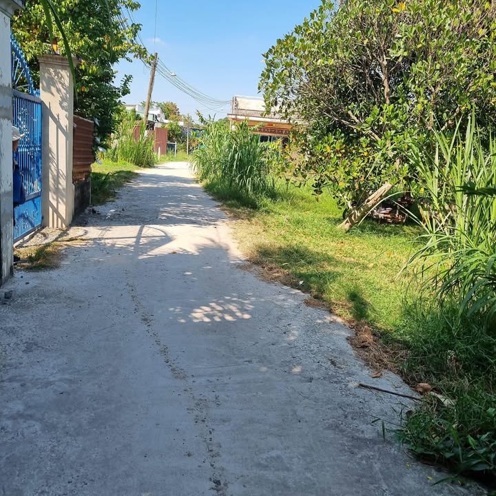 Bán Gấp Đất 165m² Sổ Hồng Riêng, Ngay Trung Tâm Long An