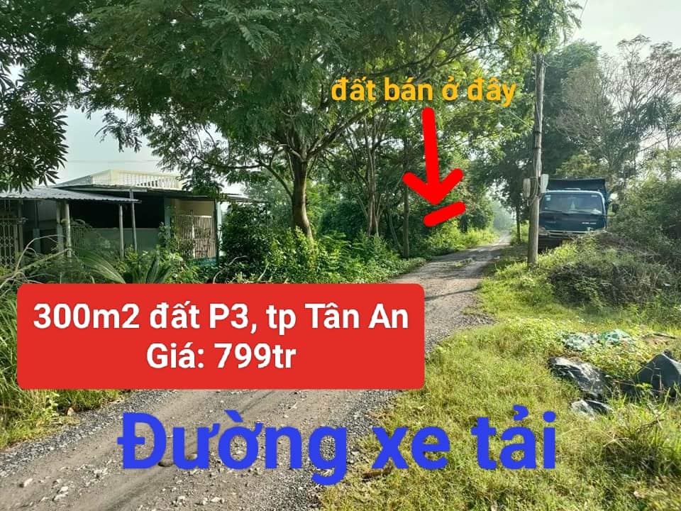 Đất Lúa 308m² Phường 3, TP. Tân An - Hướng Đông Nam, Sổ Hồng, Giá 799 Triệu