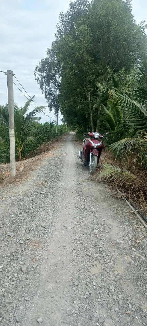 Đất vườn Long An 2369m² view sông mát - Giá 4.15 tỷ