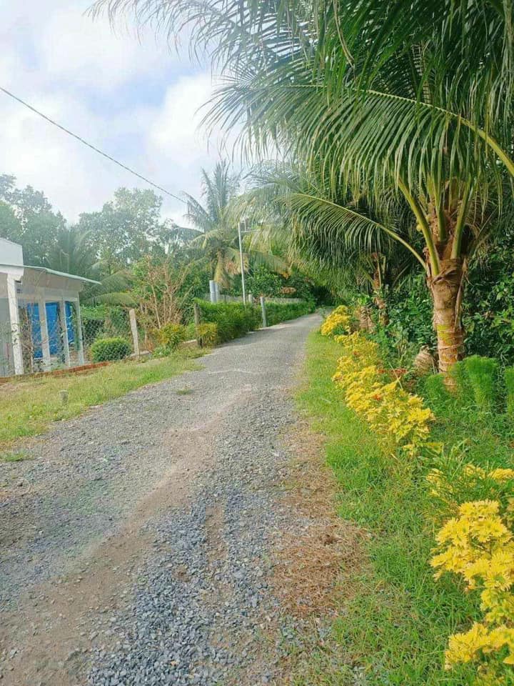 Nhà Mới Xây Long An, Long Hồ (Vĩnh Long) - 95m² Thổ Cư, Giá 450 Triệu