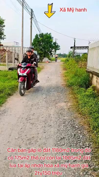 Bán Gấp Đất Nền 1180m² Đức Hòa, Long An - Sổ Hồng Sẵn Sàng