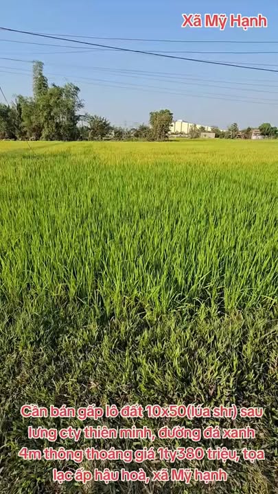 Bán gấp đất nền 600m² Đức Hòa, Long An - 1.38 tỷ, sẵn sổ hồng