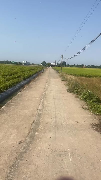 Bán Gấp Đất Lúa 3587m² Mặt Tiền 72m - Lợi Bình Nhơn, Tân An
