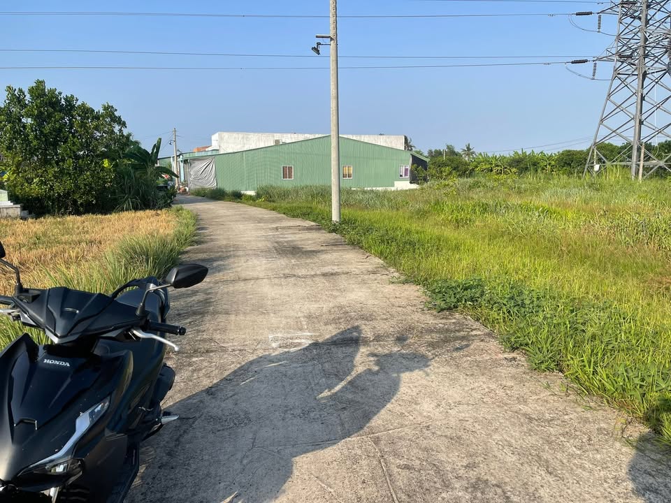 Đất Vườn 436.7m² Phường 5 Tân An - Giá 300 Triệu, Ô Tô Đậu Tận Nơi