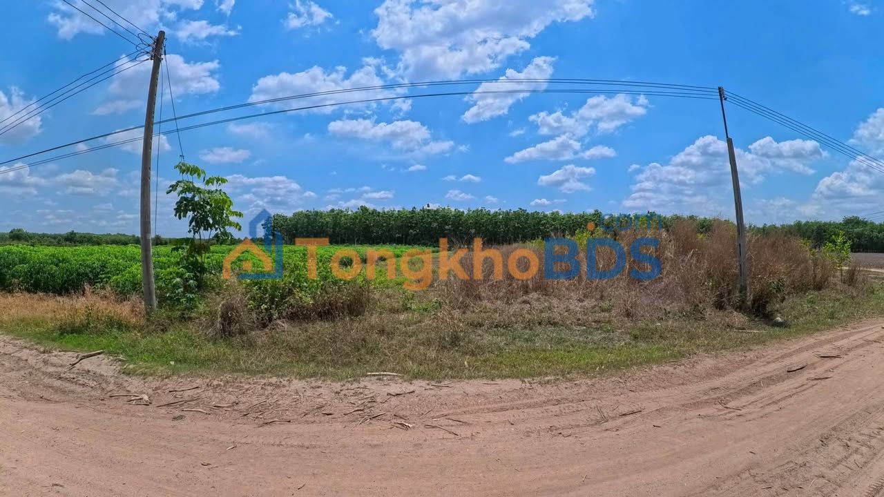 Bán Đất Nền Tân Hội, Tây Ninh 1066m² - Sổ Đỏ Sẵn Sàng