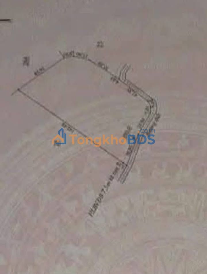 Bán Gấp Đất Vườn Tân Hưng, Long An - 10.000m² Giá Tốt